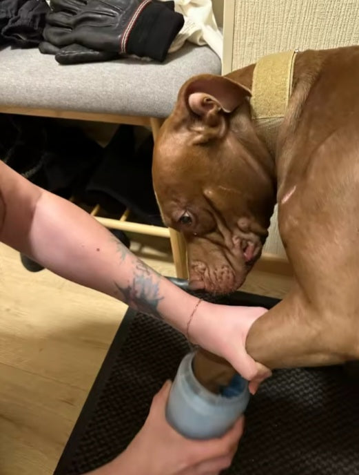 Liam M. review photo