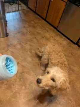 Charlotte T. review photo